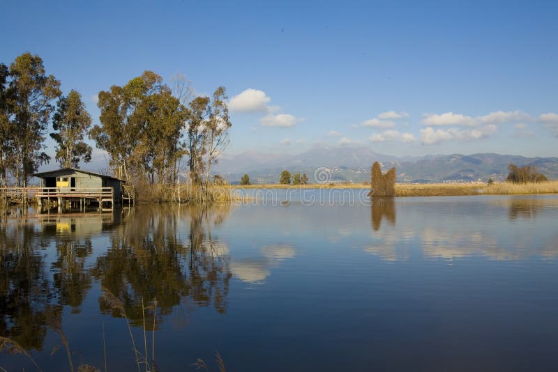 Scenico da villetta O villetta sul zone umide laguna alberi riflettente sul superficie.