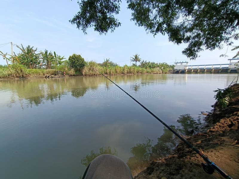 Fishing Spot at the Estuary of a Shady River Stock Image Image of spot, water 277776665
