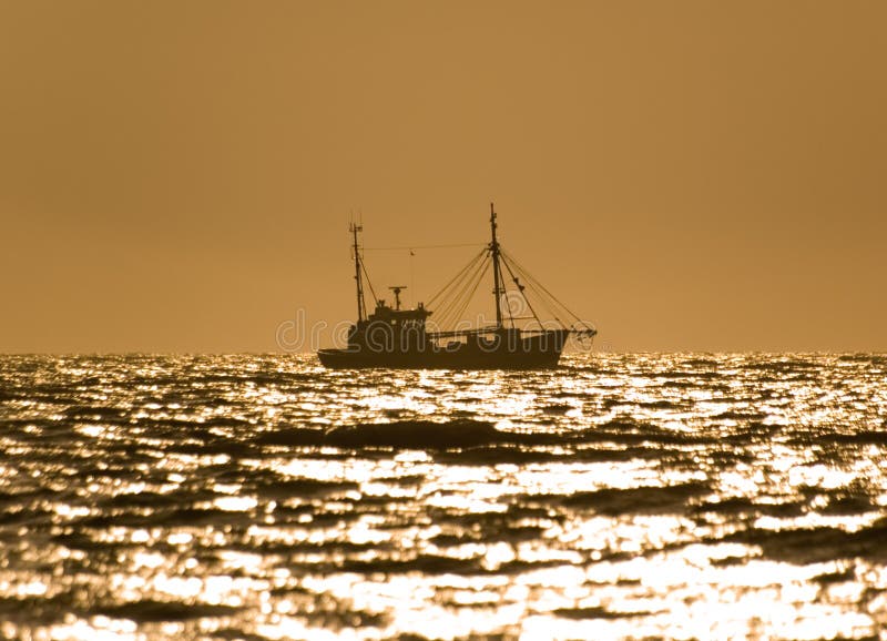 Fishing at sunset