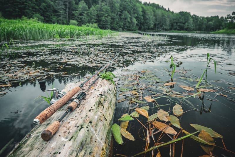 Fishing Tackle and Equipment on the River Bank Stock Image Image of