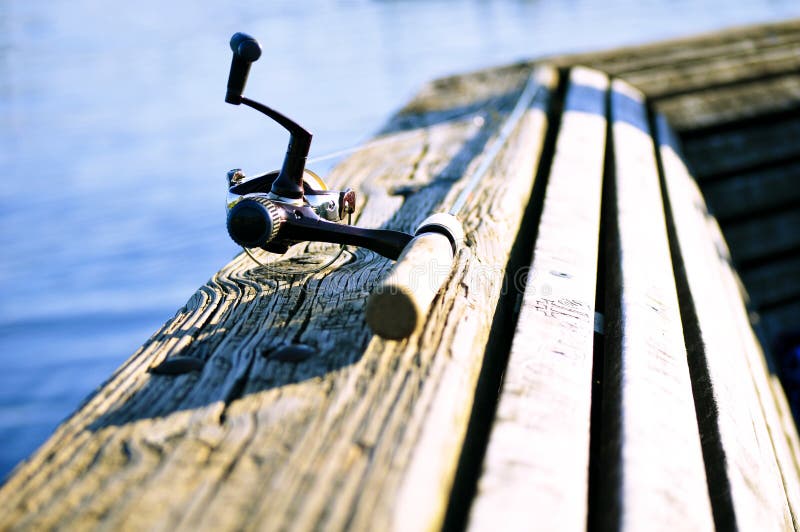 Fishing Tackle On A Tree Picture. Image 15806351