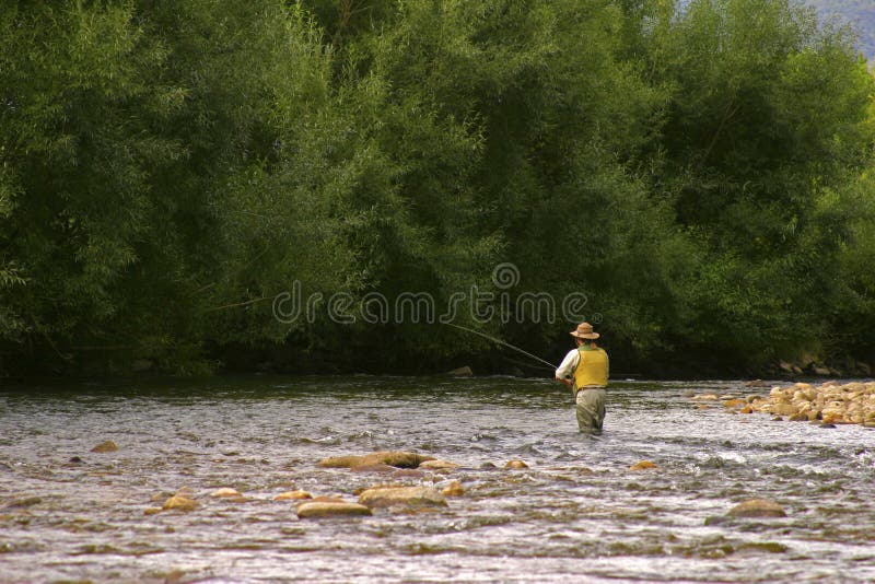 fiska fluga royaltyfria foton fiska fluga royaltyfria foton