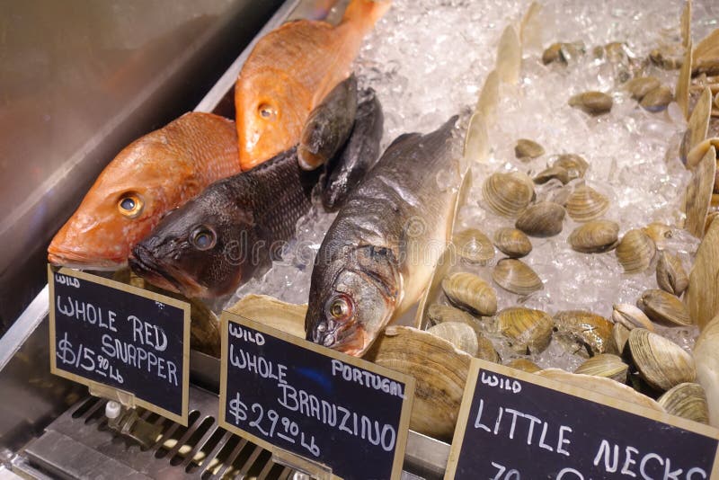 Fiskar på is för försäljning på en Gourmet-marknad arkivbilder Fiskar på is för försäljning på en Gourmet-marknad arkivbilder