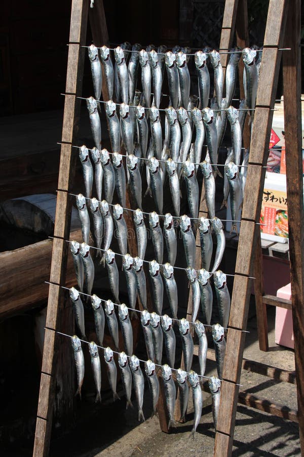 Silver fisk dating