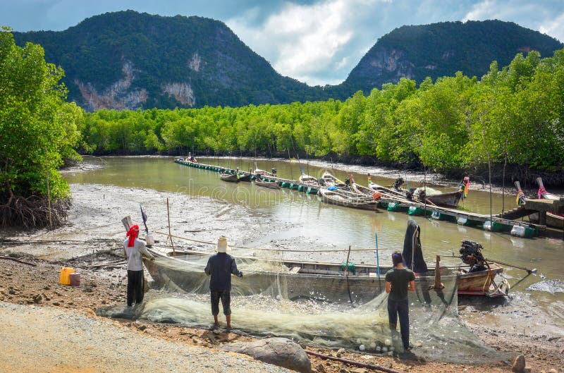 Fiskaren håller de lilla fiskarna från fisknät i mangroveskog med fartyg för en lång svans som parkerar på bryggan i bakgrunden royaltyfria foton Fiskaren håller de lilla fiskarna från fisknät i mangroveskog med fartyg för en lång svans som parkerar på bryggan i bakgrunden royaltyfria foton