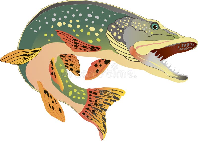 Fiske av svin och framgångsrikt fiske vektor illustrationer.