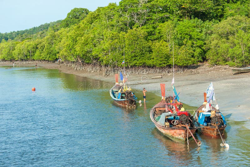 Fiskebåtar i havet och mangroveskog av Thailand arkivbilder Fiskebåtar i havet och mangroveskog av Thailand arkivbilder