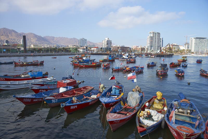 Fiskehamn i Antofagasta, Chile royaltyfri foto Fiskehamn i Antofagasta, Chile royaltyfri foto