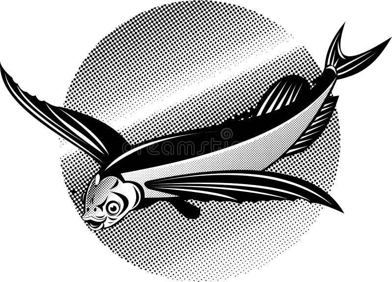 fiskflyg vektor illustrationer fiskflyg vektor illustrationer