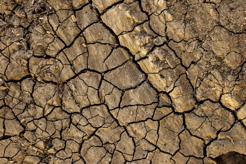 Fissures sur la fin de sol sec, la terre aride photos libres de droits Fissures sur la fin de sol sec, la terre aride photos libres de droits