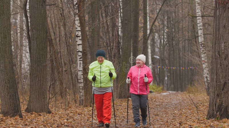 Fitness for elderly women in autumn park - nordic walking among autumn park