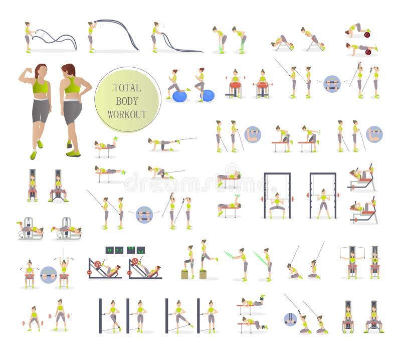 Sports Girl Sets with Different Fitness Exercises. Chest and Arm Muscle  Training. Upper Body Exercises with Sports Equipment Stock Illustration -  Illustration of fitness, toned: 179200267