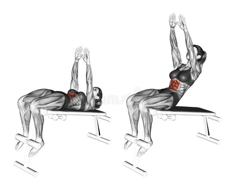 Fitness exercising. Decline Ab Reach. Female royalty free illustration Fitness exercising. Decline Ab Reach. Female royalty free illustration
