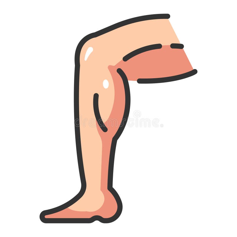 Leg Muscle Stock Illustrations – 14,427 Leg Muscle Stock Illustrations,  Vectors & Clipart - Dreamstime