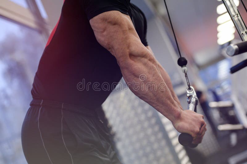Fitness Training Lifestyle Concept of Young Active Strong Man Pumping Iron  in Sport Club Gym Stock Photo - Image of heavy, concept: 169951612