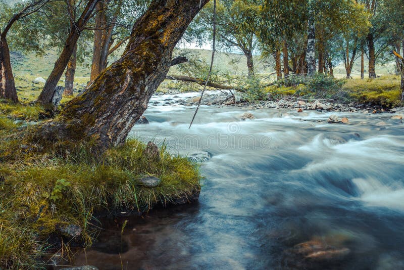 Fiume della montagna che passa fra le pietre muscose per la foresta variopinta fotografia stock Fiume della montagna che passa fra le pietre muscose per la foresta variopinta fotografia stock
