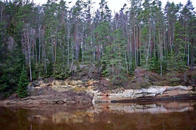 Fiume gauja in lettonia. Gauja è l'unico grande fiume di lettonia che inizia e termina il suo flusso in lettonia. ha una lunghezza di 460 km