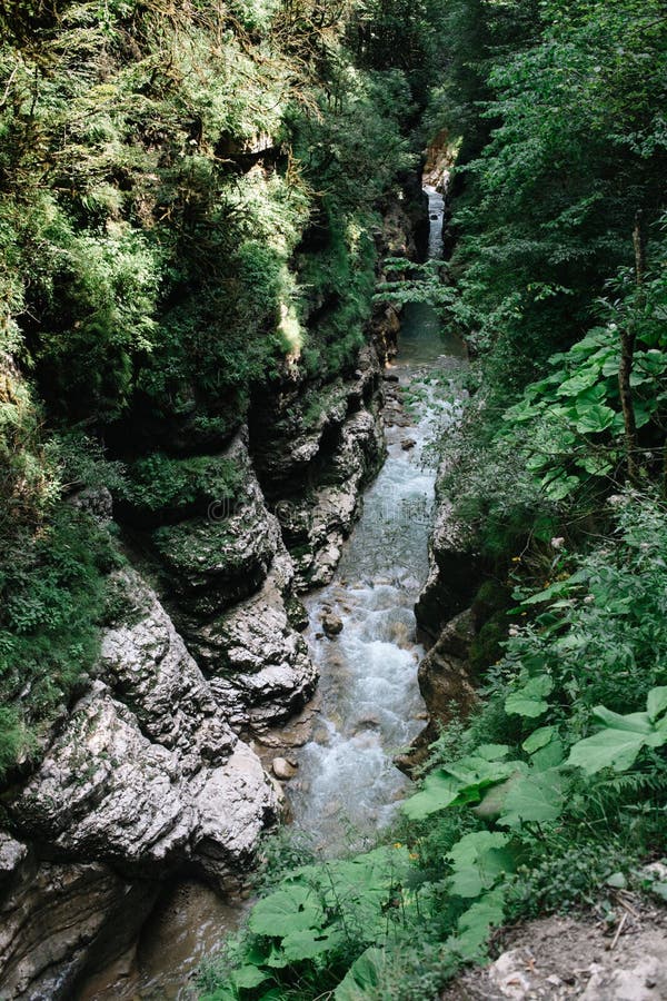 Fiume nella gola del Guam, territorio di Krasnodar, Russia Il letto del fiume della montagna delle montagne di Caucaso fotografia stock Fiume nella gola del Guam, territorio di Krasnodar, Russia Il letto del fiume della montagna delle montagne di Caucaso fotografia stock