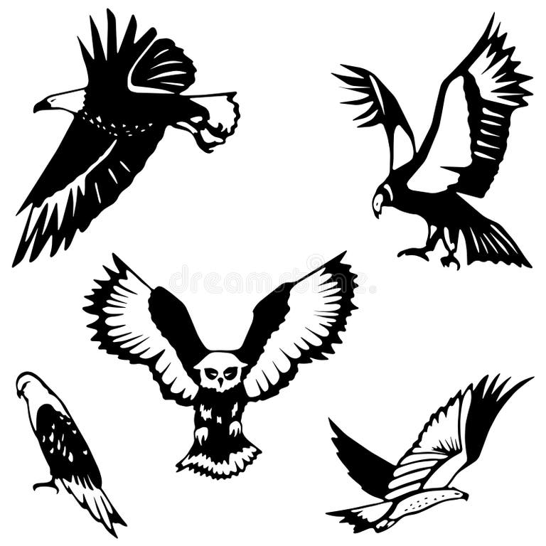 Kestrel Stock Illustrations – 546 Kestrel Stock Illustrations, Vectors
