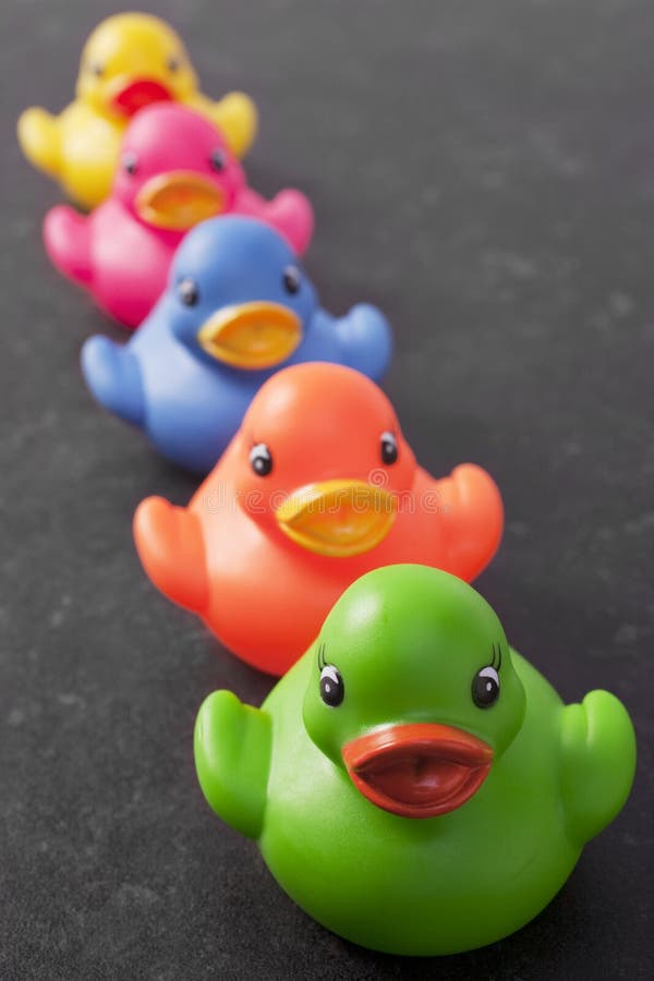Five Ducks in a Row Dark Background
