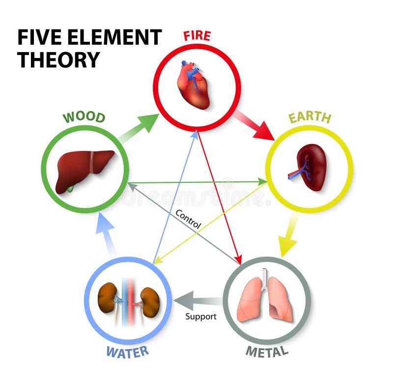 Five Element Theory