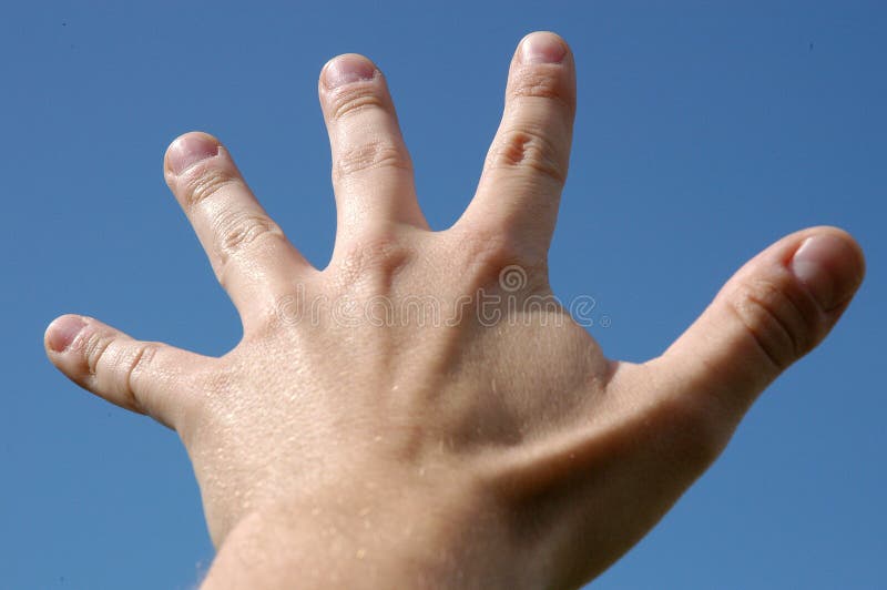 Five fingers deals