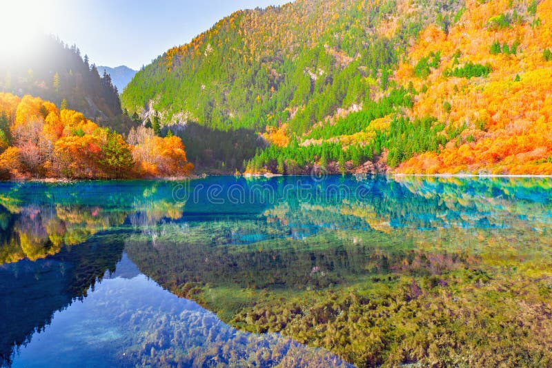 Five Flower Lake At Autumn Sunrise Time Jiuzhaigou Nature Reserve