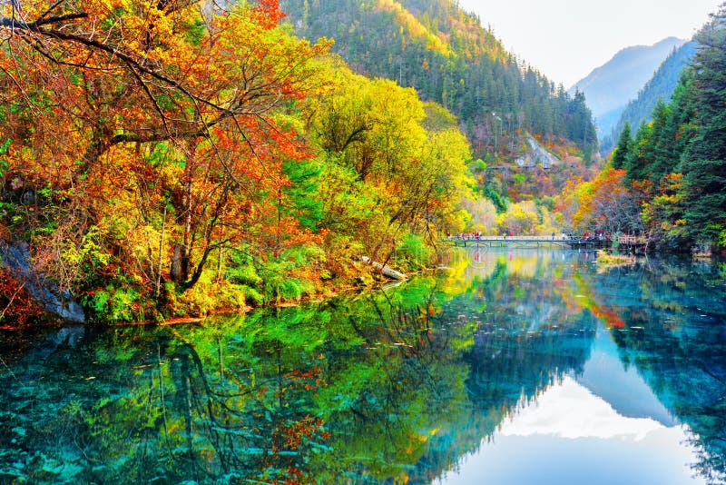 Autumn Forest And Lake In The Fall Season Stock Photo Image Of Leaves