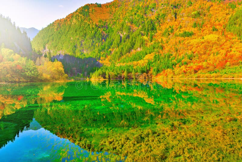 Five Flower Lake At Autumn Sunrise Time Jiuzhaigou Nature Reserve