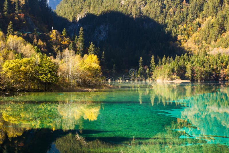 Five Flower Lake Is Lake In Jiuzhaigou Stock Image Image Of Green