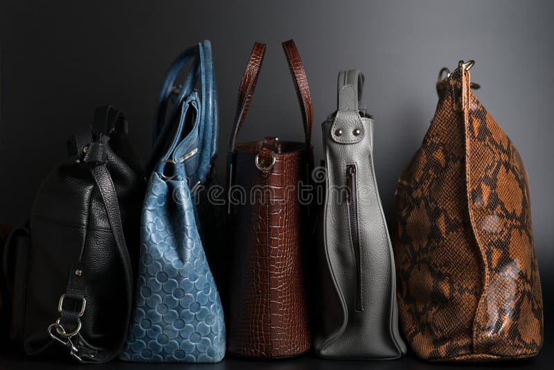 Women Leather Color Handbags Purses And Shoes Stock Illustration