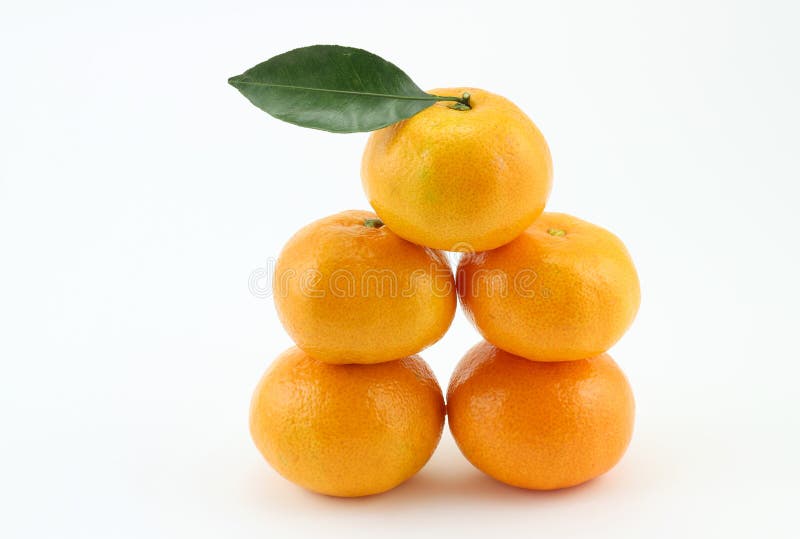 Five oranges stock image. Image of dicotyledonous, sesame - 27706321