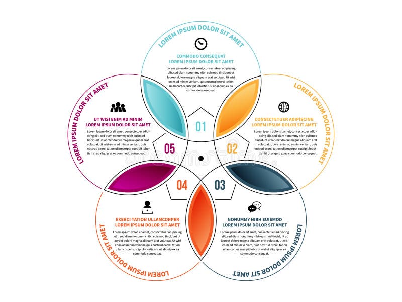 Five Petals Infographic stock vector. Illustration of business 238179645