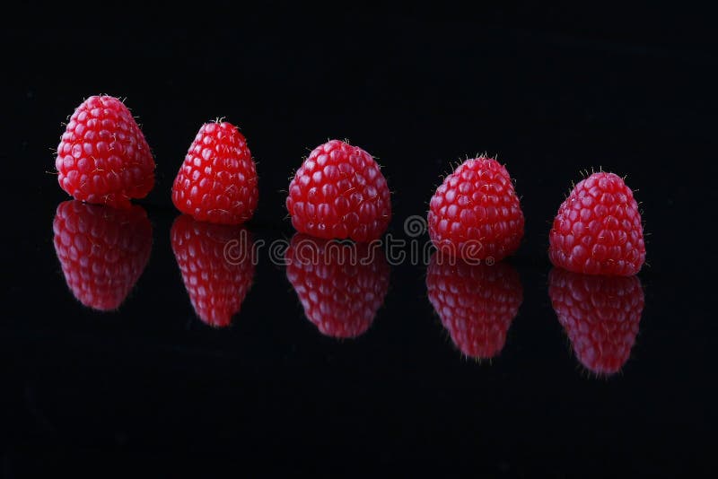 Five fresh red raspberries angled on reflective background. Five fresh red raspberries angled on reflective background.