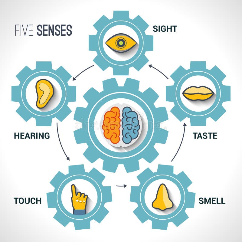 Five senses concept royalty free illustration