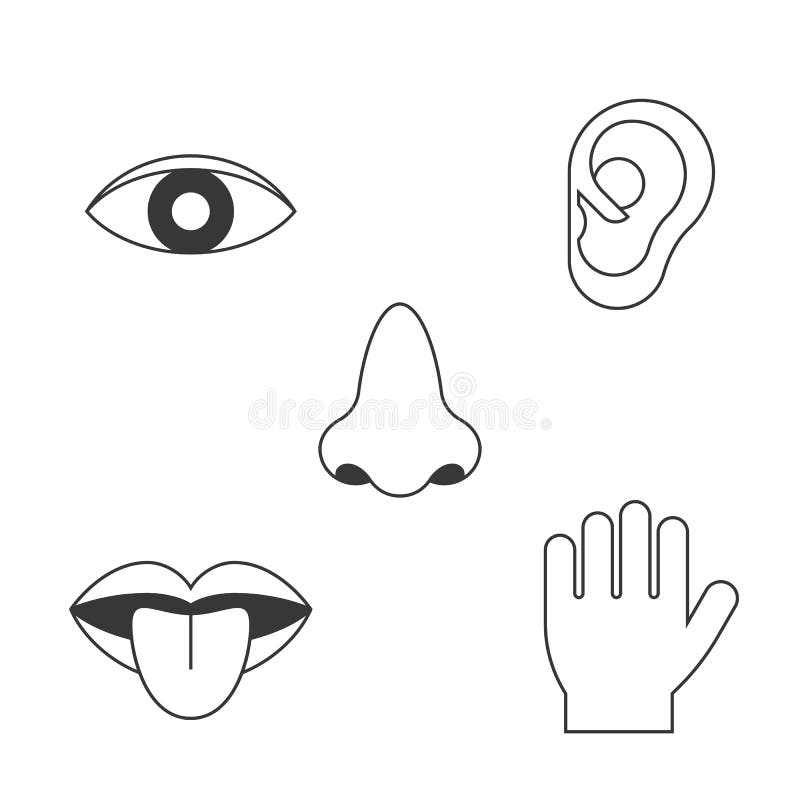 Five senses icon stock vector. Illustration of five, sense - 99994203