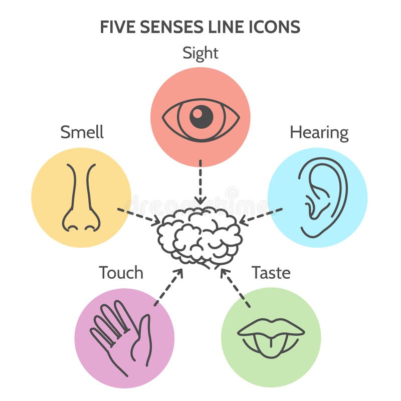 540+ Senses Free Stock Photos - StockFreeImages