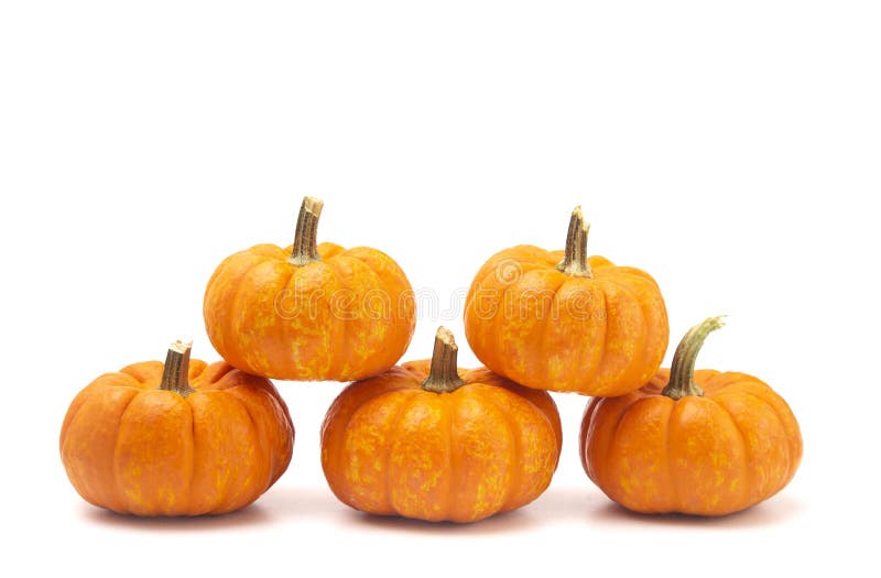 Small Decorative Pumpkins on a White Background