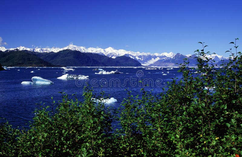 Iceberg in the alaska fjord. Iceberg in the alaska fjord.