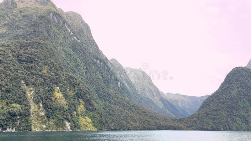 Fjordlandschaft. Milford Sound in Neuseeland. Reisen. Video