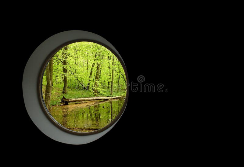 fjäder royaltyfri fotografi fjäder royaltyfri fotografi