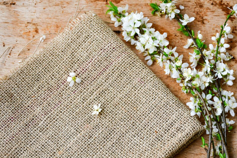fjäder för blomma för dof för azaleablomningclose grund upp fotografering för bildbyråer fjäder för blomma för dof för azaleablomningclose grund upp fotografering för bildbyråer
