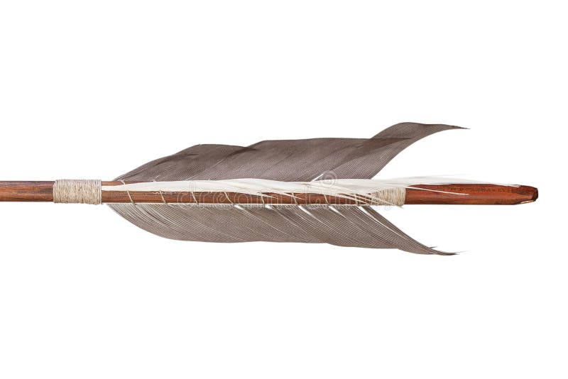 Feather fletching of traditional target arrow isolated on white background. Feather fletching of traditional target arrow isolated on white background