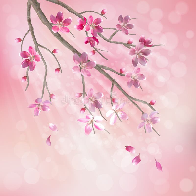 Fjädra vektortreen förgrena sig körsbärsröda blomningblommor stock illustrationer Fjädra vektortreen förgrena sig körsbärsröda blomningblommor stock illustrationer