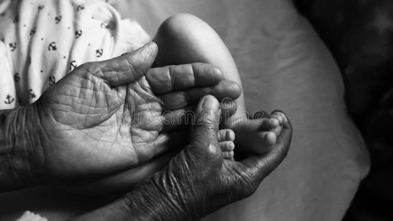 Fjärde utvecklingsfamiljeliv den gamla farmodern räcker hållande nyfödd fot, det svartvita skottet, begreppet av en familj och et royaltyfria foton Fjärde utvecklingsfamiljeliv den gamla farmodern räcker hållande nyfödd fot, det svartvita skottet, begreppet av en familj och et royaltyfria foton