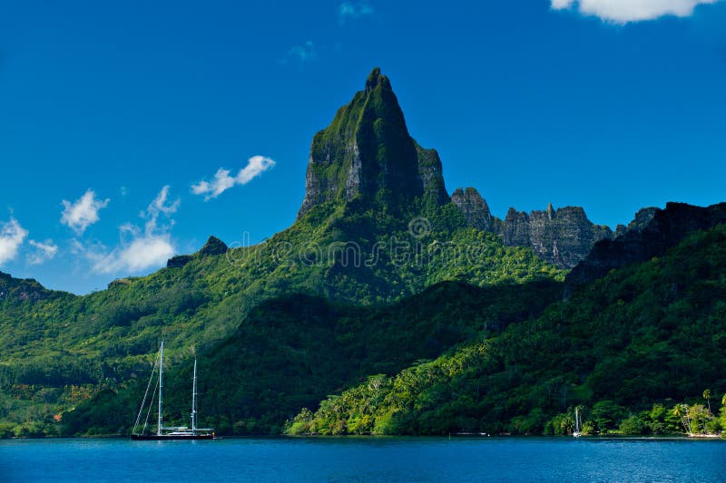 fjärdmoorea av tropiska tahiti arkivbilder fjärdmoorea av tropiska tahiti arkivbilder