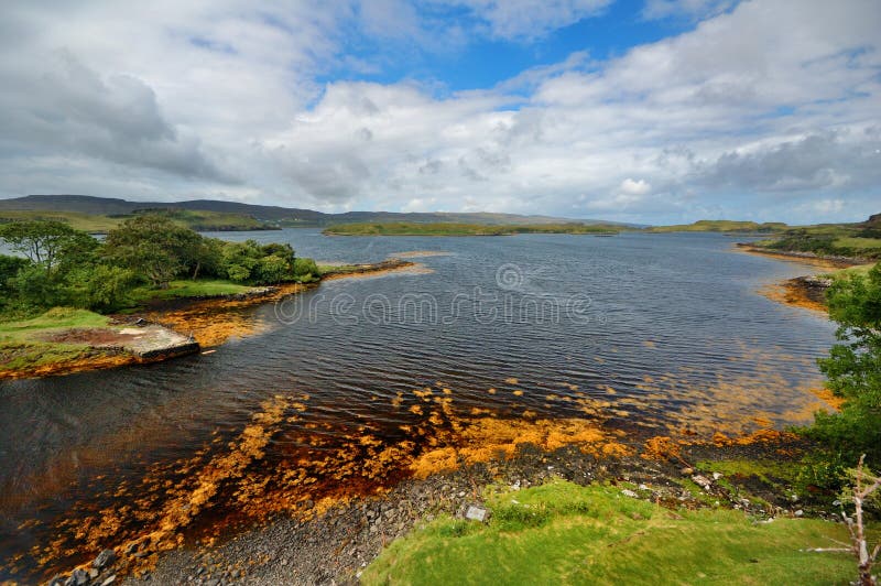 fjärdscotland skye arkivfoton fjärdscotland skye arkivfoton
