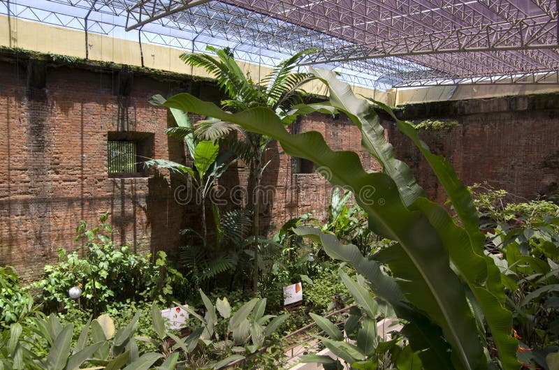Fjärilsträdgård i det nationella museet av Costa Rica arkivfoton Fjärilsträdgård i det nationella museet av Costa Rica arkivfoton