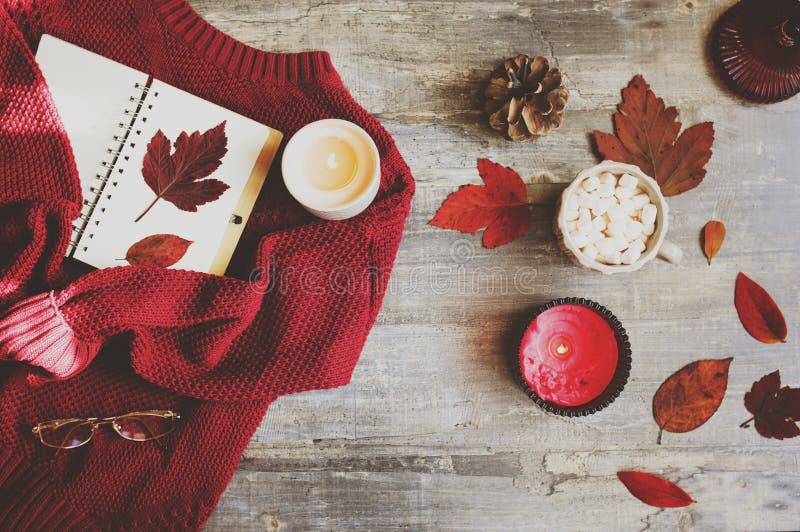Flache Lage des gemütlichen Herbstes mit Rot strickte Strickjacke lizenzfreies stockfoto