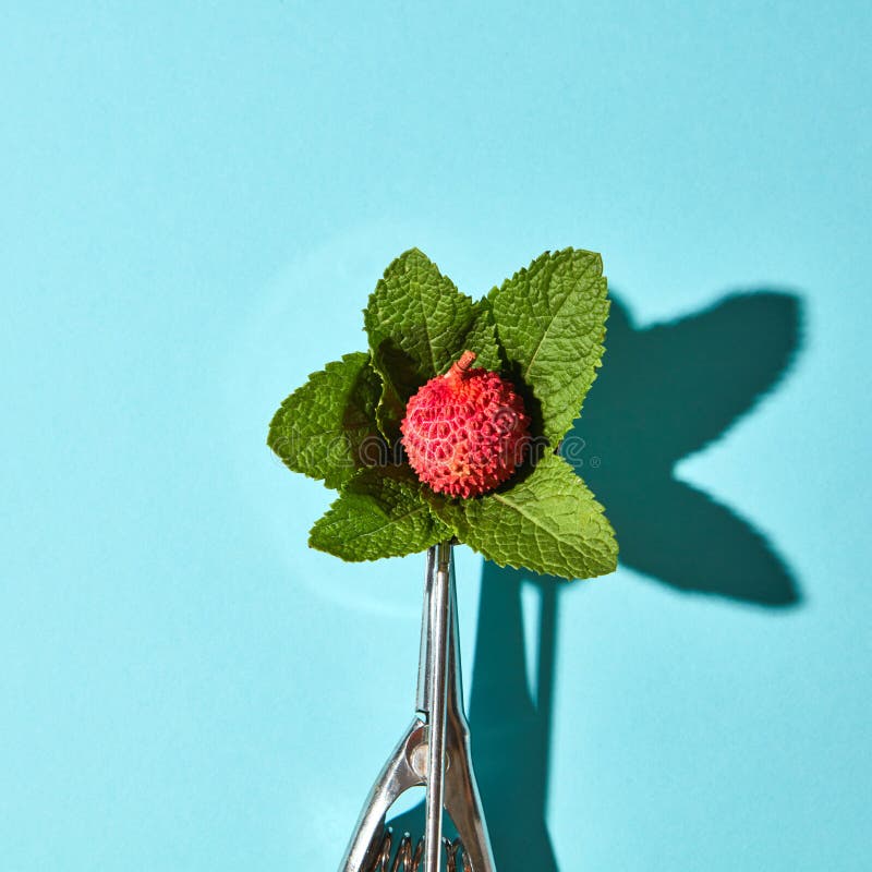 Flache Lage des Löffels für Eiscreme mit Litschifrucht und tadellosen Blättern auf einem blauen Hintergrund mit harten Schatten C stockfotografie Flache Lage des Löffels für Eiscreme mit Litschifrucht und tadellosen Blättern auf einem blauen Hintergrund mit harten Schatten C stockfotografie